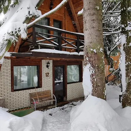 Aparthotel Family Friendly Aplina Maisonette Poiana Braşov